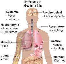 Swine flu